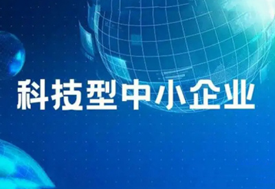 國家科技型中小企業(yè)認定 